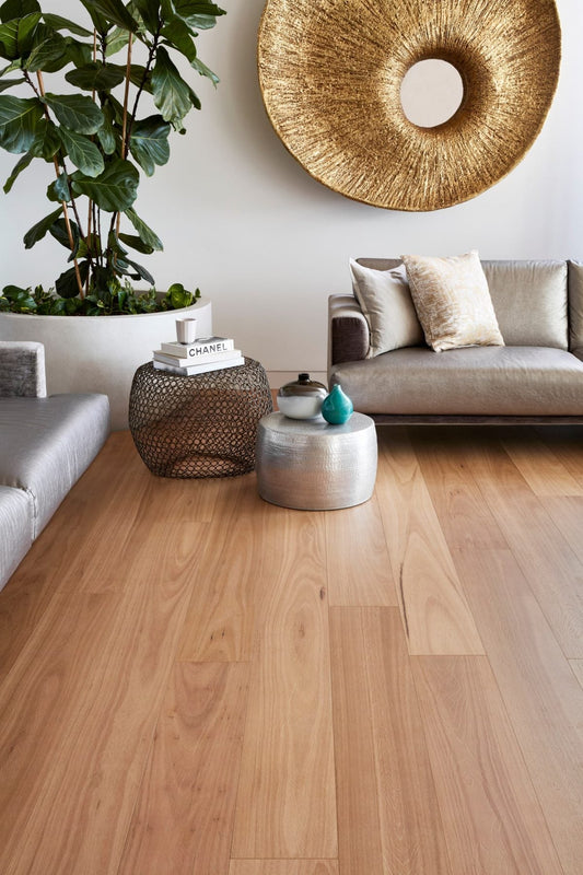 Blackbutt