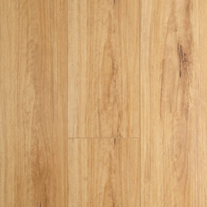Blackbutt - Blackbutt-Oakleaf-min-1200x1200