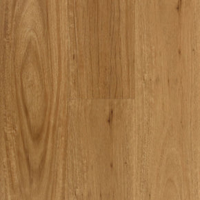 Coastal Blackbutt - Coastal-Blackbutt-swatch