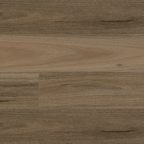 Resiplank Hybrid Eternity 7mm - Country_Spotted-Gum_Resiplank_Rigidcore_705