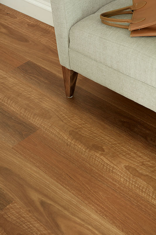 NSW Spotted Gum
