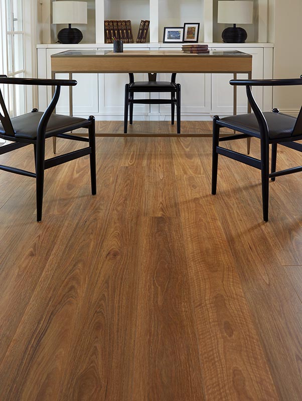 Spotted Gum