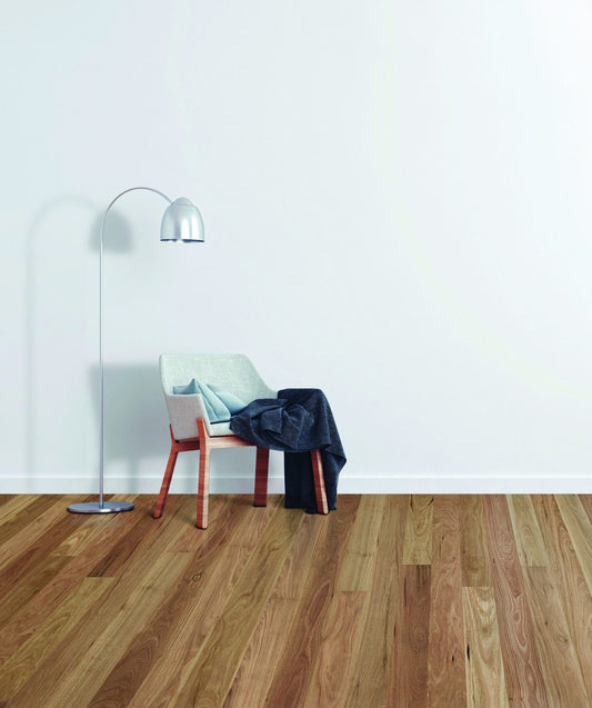 MB Spotted Gum