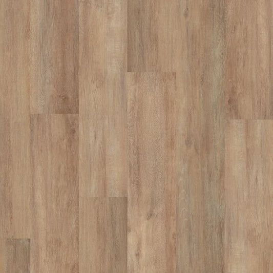 Mi Plank Acoustic