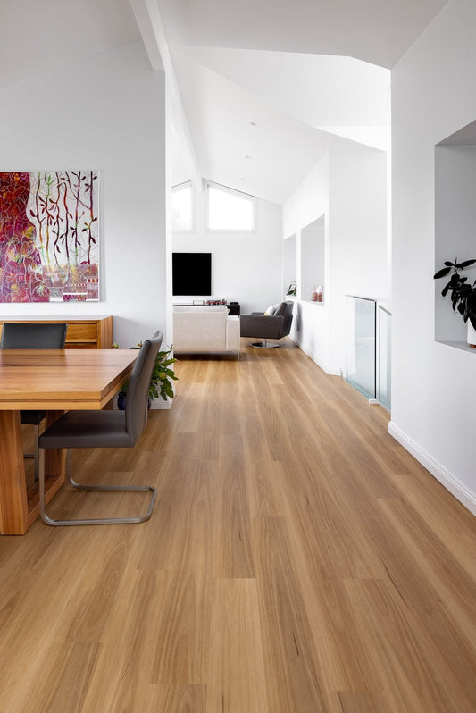 Blackbutt