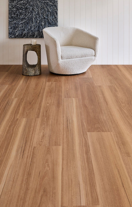 Spotted Gum