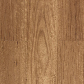 New England Blackbutt - New-England-Blackbutt-Australian-Timber-Aspire-1