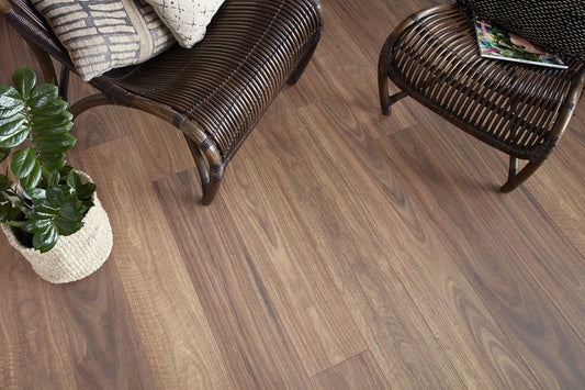 Spotted Gum