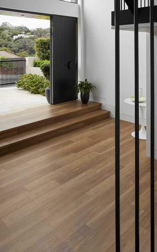 Spotted Gum
