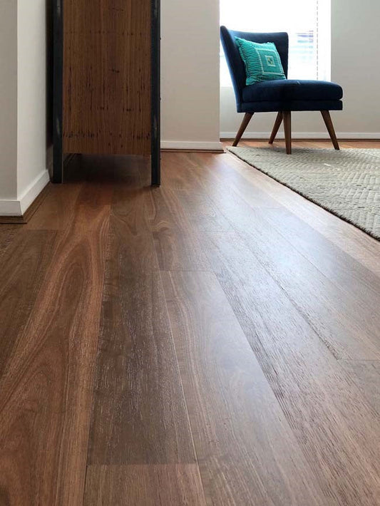 Spotted Gum