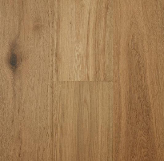 Swiss Brown