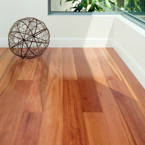 MB Syd Blue Gum - Sydney-Blue-Gum-Select-1-1200x1676