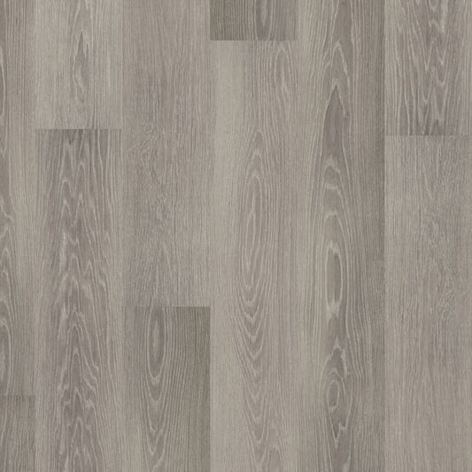 Silver Birch 9418