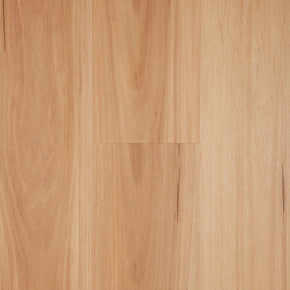 Blackbutt - blackbutt-ultimoseries2