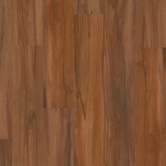 Wattle 2412