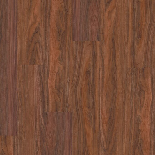 Tasmanian Myrtle 9415