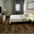 AlpineOakscene_50x50_crop_center