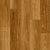 MurrayRiverSpottedGumWebSwatch_50x50_crop_center
