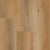 WarmSpringOakWebSwatch_50x50_crop_center