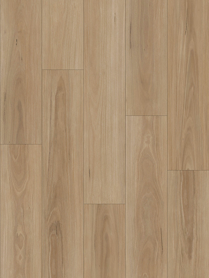 select-blackbutt-swatch