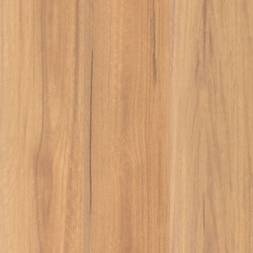 swatch_lamwood_1416_SpottedGum_500x500px