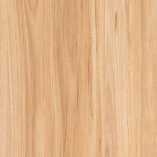 swatch_lamwood_1417_Blackbutt_500x500px